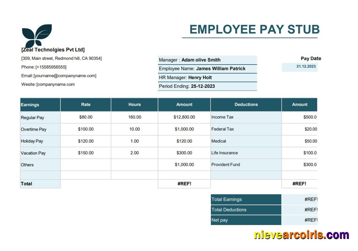 employee pay stub, version 5
